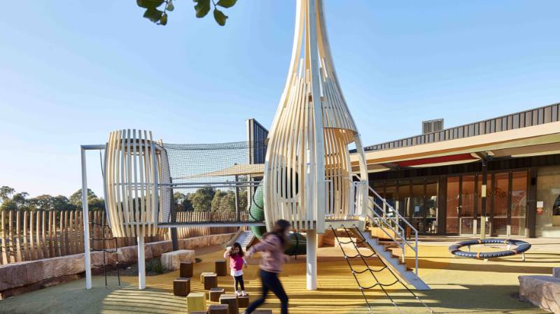 Curved Play Pods Crafted for Fun and Sustainability with Accoya