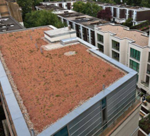 PermaQuik Brown Biodiverse Green Roof System - Quantum (Hybrid)