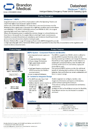 1 DATASHEET iBEPU D60041(en-gb) [1.0]