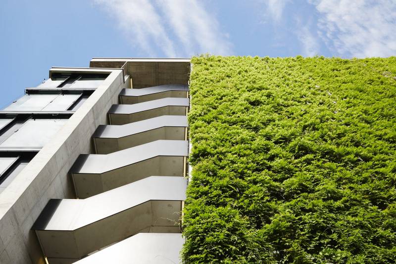 Living Green Wall – JAKOB Rope and Rod Trellis - Living Green Wall