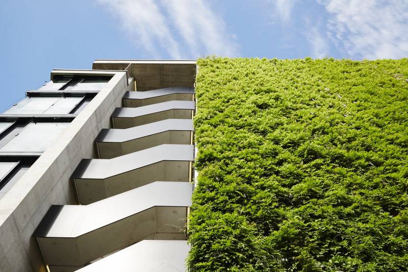 Living Green Wall – JAKOB Rope & Rod Trellis - Living Green Wall