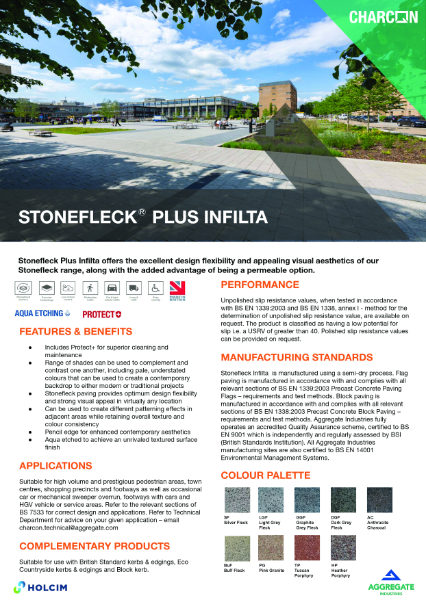 StoneFleckⓇ PLUS Infilta TDS