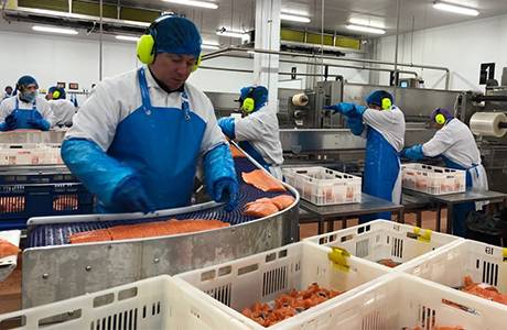 Improved safety and efficiency for Scottish Salmon, Scotland