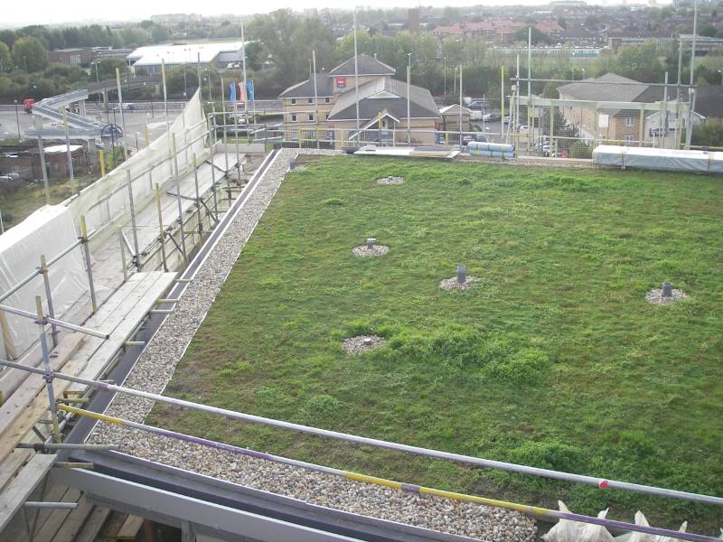 Low Maintenance Green Roof for Benedictʼs Wharf Eco Homes