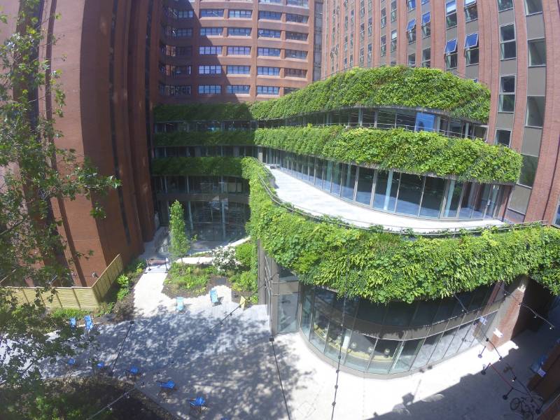 HYVERT - SFS Fixing Detail  - Living Wall System