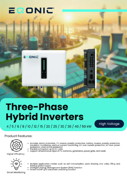 High Voltage Three Phase Hybrid Inverters Data Sheet