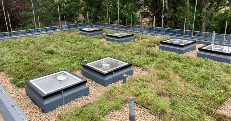 Flagon PVC and Green Roof for Strathmore Centre