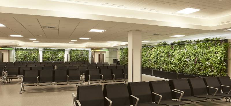 Heathrow Airport, Terminal 3, Gate 25 Living Walls