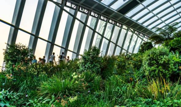Life Cycle Assessment and Embodied Carbon– Making the Most Sustainable Choices 