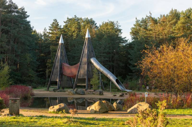 Hogmoor Inclosure