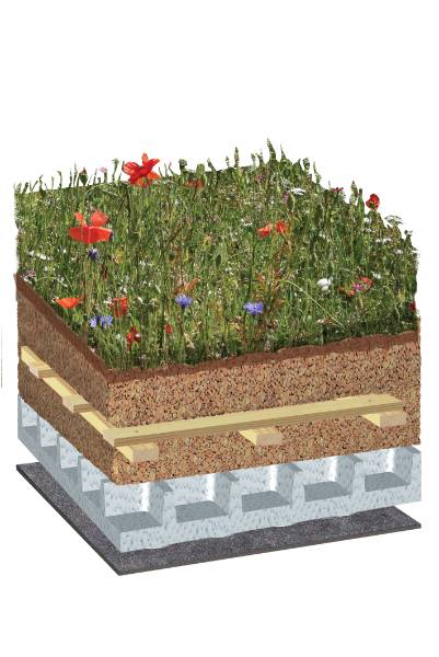 BauderGREEN WB Native Wildflower Blanket Biodiverse Green Roof System, Pitched Roof