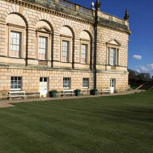 LT7 Festival - Grass Turf