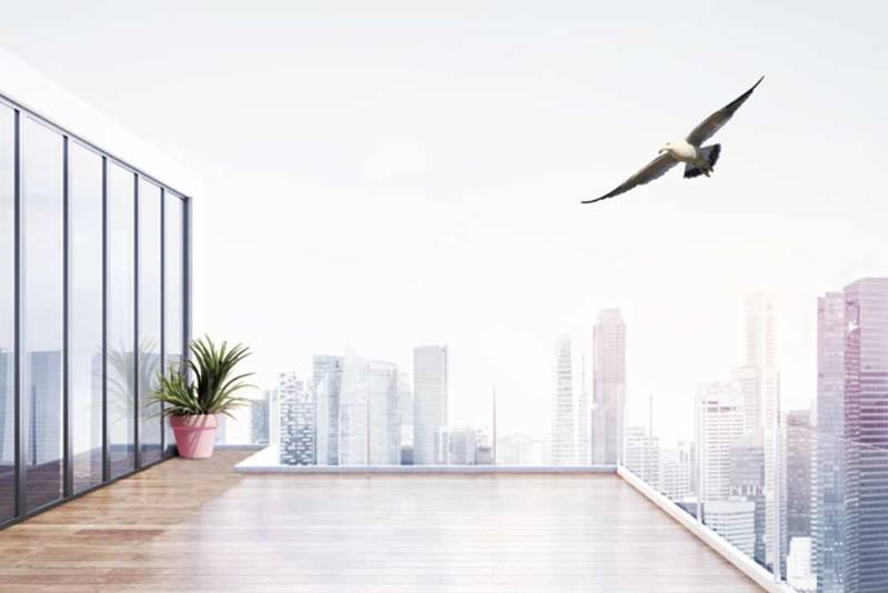 BirdSecure Pro