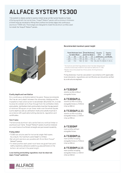 Allface TS300 Datasheet