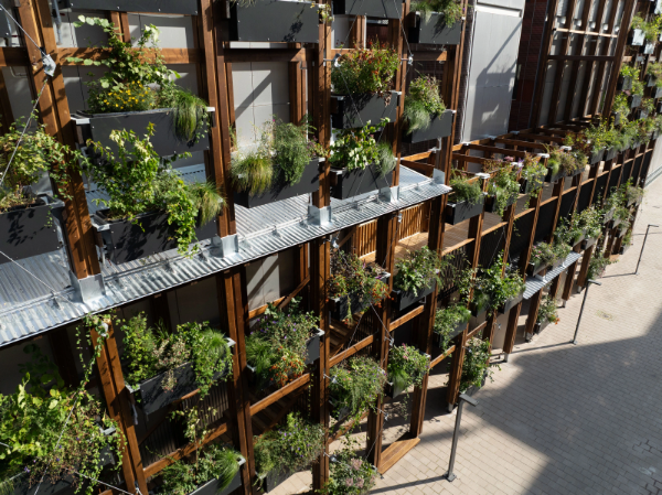 Viherseinät - Vertical Garden