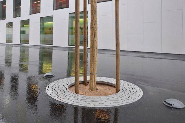 Perla C - Q Tree Grille