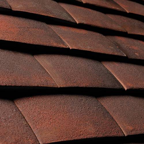 Alban Clay Plain Roof Tile