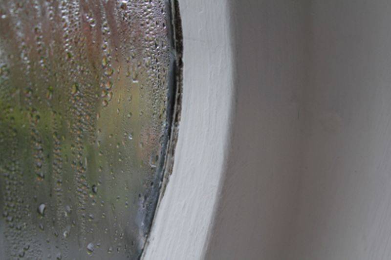 Treating Condensation Damp in a Pantry