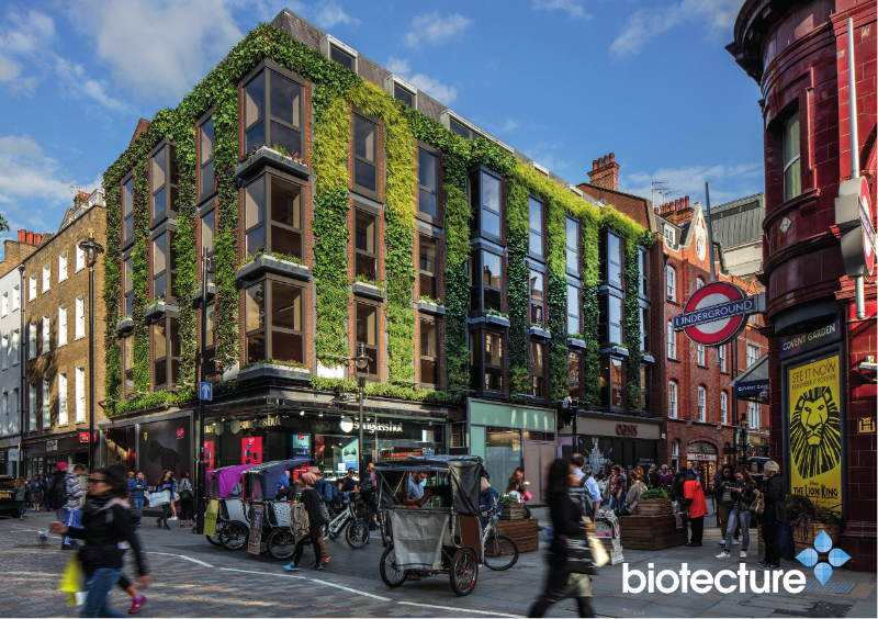 Biotecture Living Wall Flyer