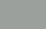 Vivica™ Nobel Silver Pearl Satin