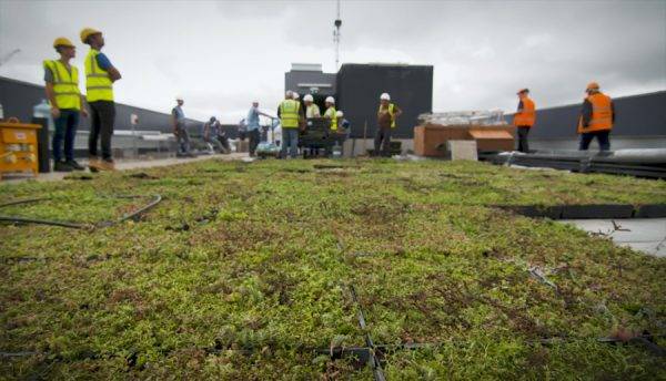 M-Tray®  Green Roof super fast installation