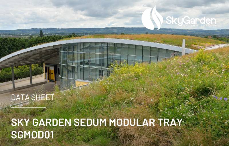 Sky Garden Sedum Modular Tray System