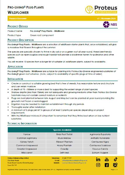 Product Data Sheet - Pro-Living® Plug Plants - Wildflower