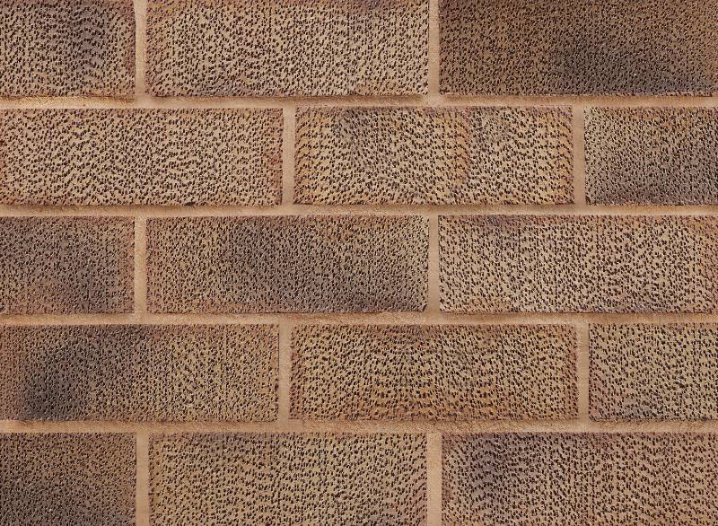 Carlton Pinhole Crofton Buff Clay Brick - Imperial