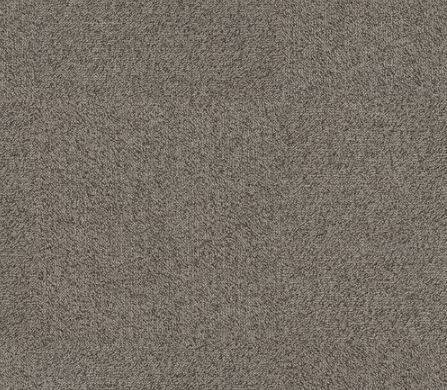 Kindred Carpet Tile Collection: Belong Comfortworx