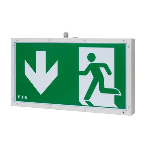 46011 LED (60 m) CG-S - Safety and Exit Sign Luminaires