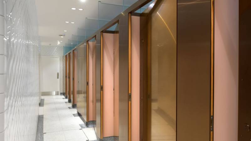 Rose Gold and Bronze PVD toilet cubicles