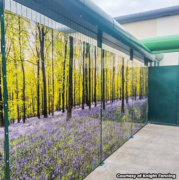 358 Mesh Fencing For Thatchbury Mount Hospital