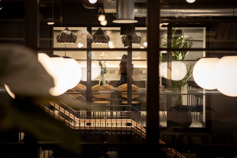 Understanding the Reaction to Fire of Partition Surfaces