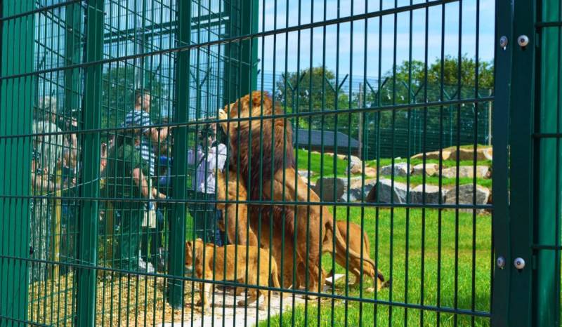 Folly Farm Pembrokeshire