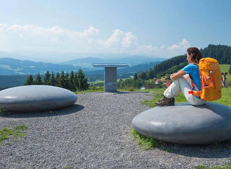 RGM Project Portfolio