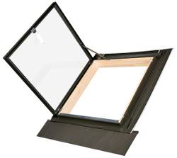 WLI Access Rooflight