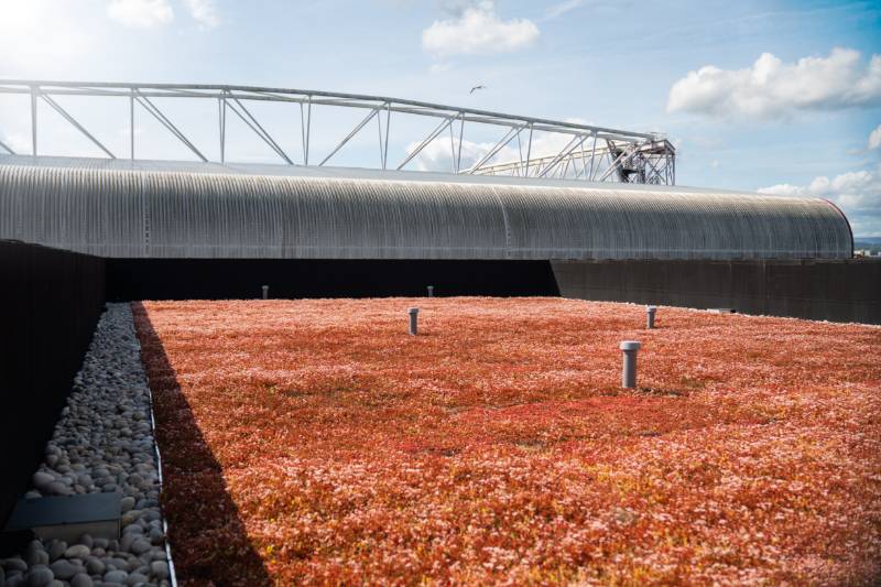 Tynecastle High School, Scotland