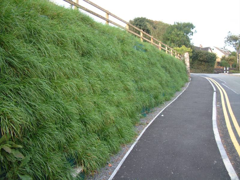 Vegetated Retaining Wall, Cutting Stabilisation, Webwall, Saundersfoot, UK