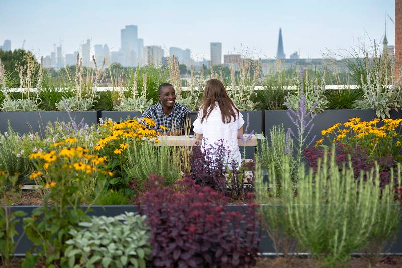Highgate Road, Kentish Town - Creating community among the clouds