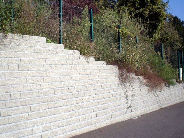 Retaining wall units