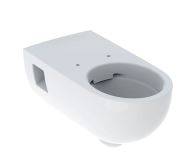 Geberit Selnova Comfort Premium Wall-Hung WC, Washdown, Large Projection, Semi-Shrouded, Barrier-Free, Rimfree - Wall-hung WC