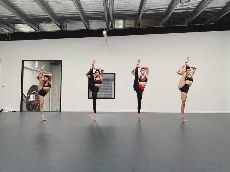 Dance and Performance Vinyl - Harlequin Studio - Dance and Performance Vinyl