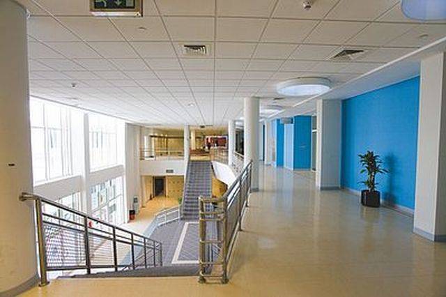 Standard XL Tiles - Homogeneous Vinyl Tiles

