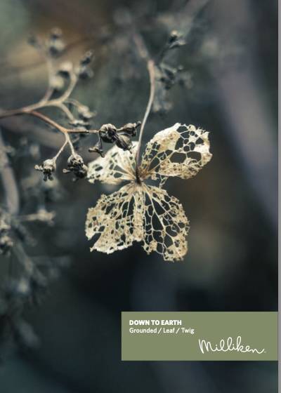 Down to Earth - Grounded / Leaf / Twig Design Brochure