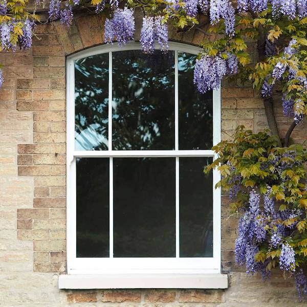 Ultimate Rose Sash Window - Single - PVC-U Sash Window