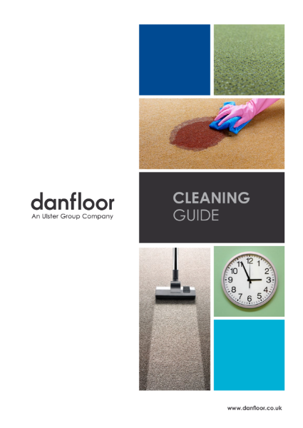 Carpet Cleaning Guide