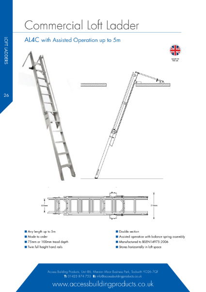 AL4 Commercial Access Ladder