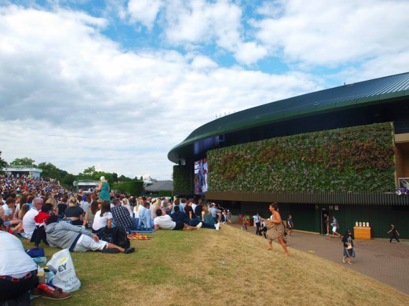 Court No.1, Wimbledon Living Wall