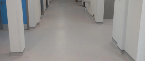 HEALTHCARE - NORTHERN IRELAND HEALTH TRUSTS - FLOORMITRES