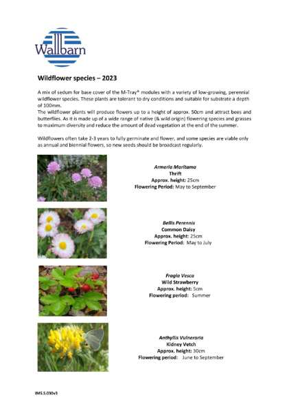 Datasheet - Wildflower species list